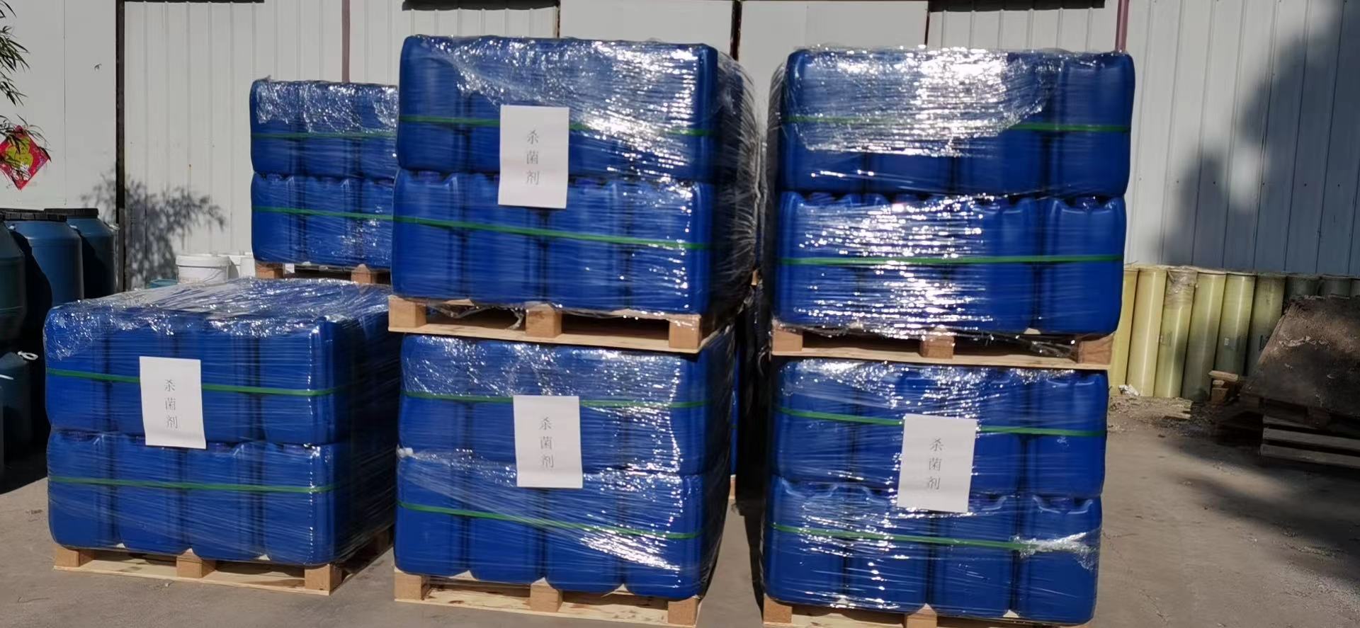 魯東人的夏天 魯東人的夏天